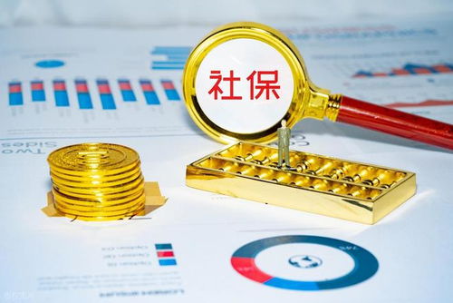 社保錢袋子誰(shuí)掏空？強(qiáng)制繳費(fèi)究竟保護(hù)誰(shuí)？企業(yè)最終僅認(rèn)這一招